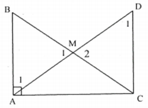 Cho tam giác ABC vuông tại A. Gọi M là trung điểm của BC. Chứng minh rằng  . (ảnh 1)