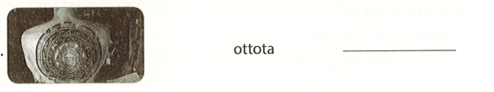 Rearrange the letters to make correct words ottota  (ảnh 1)