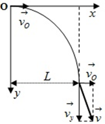 Từ độ cao h = 80 m, người ta ném một quả cầu theo phương nằm ngang  (ảnh 1)