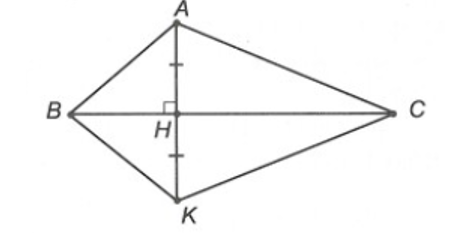 Cho đoạn thẳng BC và điểm H nằm giữa B và C. Qua H kẻ đường thẳng vuông góc (ảnh 1)