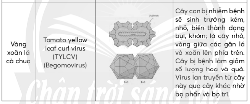 Hãy liệt kê một số bệnh do virus gây ra ở thực vật, động vật và người (ảnh 7)