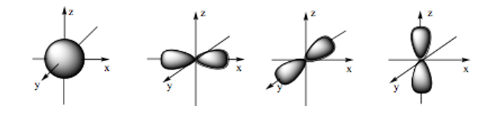 Hình ảnh dưới đây là hình dạng của những loại orbital nguyên tử nào? (ảnh 1)