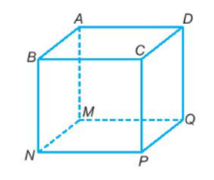 Hình hộp chữ nhật có bao nhiêu mặt? A. 5 B. 6 C. 7 D. 8 (ảnh 1)