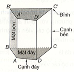 Hình lăng trụ đứng tứ giác có số mặt bên là: A. 3;  B. 4;  C. 5;  D. 6.  (ảnh 1)