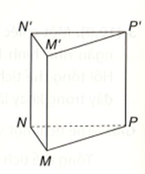 Hình lăng trụ đứng tam giác có số cạnh là: A. 7;  B. 8;  C. 9;  D. 10.  (ảnh 1)
