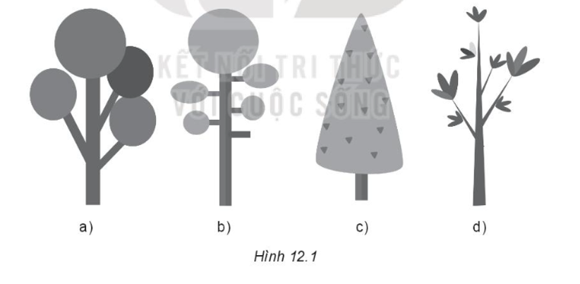 Thực hành: Em hãy vẽ các hình theo mẫu (Hình 12.1). (ảnh 1)