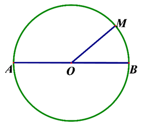 Cho hình tròn tâm O như hình vẽ. Đường kính của hình tròn là (ảnh 1)