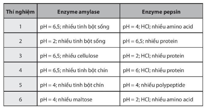 Một nhà khoa học đã làm các thí nghiệm sau đây để kiểm tra hoạt tính của enzyme amylase (ảnh 1)