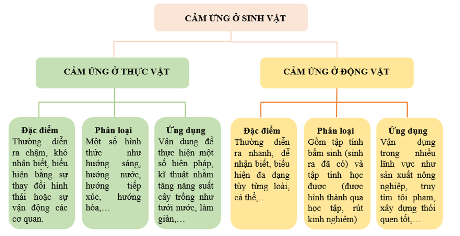 Sơ đồ tổng hợp kiến thức về cảm ứng ở sinh vật. (ảnh 1)