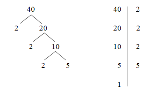 Phân tích số 40 ra thừa số nguyên tố bằng cách viết “rẽ nhánh” và “theo cột dọc”. (ảnh 1)