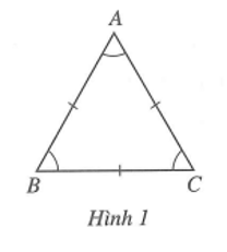 Tam giác đều ABC (Hình 1) có ba cạnh ......... bằng nhau; ba góc ở các đỉnh …...... bằng nhau. (ảnh 1)