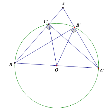 Cho tam giác ABC, 2 đường cao BB’, CC’. Chứng minh tứ   giác BCB’C’ nội tiếp. (ảnh 1)