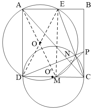 Trên cạnh CD của hình vuông ABCD, lấy một điểm M, vẽ đường tròn tâm O đường kính AM (ảnh 1)