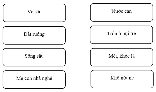 Mọi vật như thế nào trong tiết trời oi bức của mùa hè (ảnh 1)