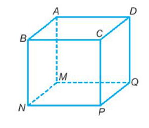 Hình lập phương có bao nhiêu đỉnh? A. 2 B. 4 C. 6 D. 8 (ảnh 1)