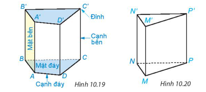 Một số yếu tố của hình lăng trụ đứng tứ giác được chỉ rõ trong Hình 10.19. Em hãy nêu các (ảnh 1)