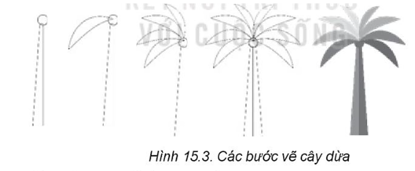 Thực hành: Em hãy vẽ hình hoa cúc, cây dừa, củ cà rốt và chú chó theo mẫu trong Hình 15.1 (ảnh 3)