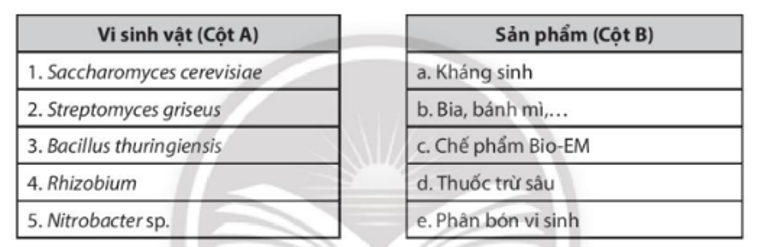 Hãy nối tên vi sinh vật ở cột A với sản phẩm được tạo thành ở cột B sao cho phù hợp. (ảnh 1)