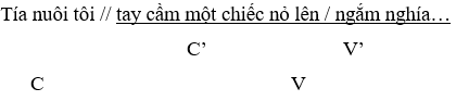 Tía nuôi tôi tay cầm một chiếc nỏ lên ngắm nghía…(Đoàn Giỏi) (ảnh 1)