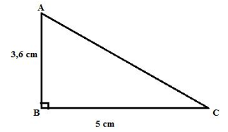 Diện tích hình tam giác ABC là: (ảnh 1)