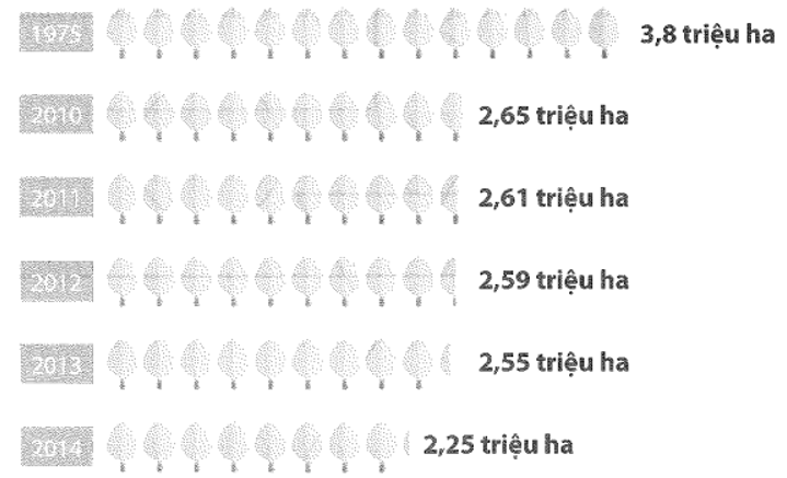 Diện tích rừng ở một địa phương qua các năm được thể hiện qua biểu đồ sau (ảnh 1)