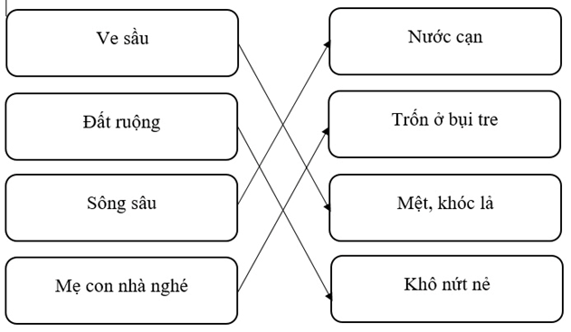 Mọi vật như thế nào trong tiết trời oi bức của mùa hè (ảnh 2)