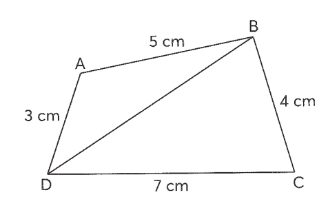 Cho hình tứ giác ABCD như hình vẽ dưới đây. Biết chu vi hình tam giác ABD là  (ảnh 1)