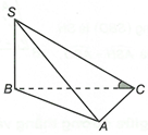 Cho hình chóp S.ABC có SB vuông góc (ABC). Góc giữa SC với (ABC) là góc giữa  A. SC và AC. B. SC và AB. (ảnh 1)