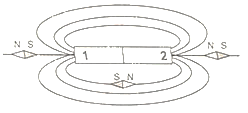 Hình ảnh định hướng của kim nam châm đặt tại các điểm xung quanh thanh nam châm như hình sau: (ảnh 1)
