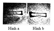 Quan sát từ phổ của hai thanh nam châm trong hình vẽ sau:   Hãy cho biết nam châm nào có từ trường mạnh hơn?  (ảnh 1)