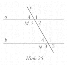 Quan sát Hình 25, biết a // b. Tính góc M2 + góc N1 và góc M3 + góc N4 (ảnh 1)