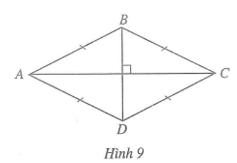 Hình thoi ABCD (Hình 9) có bốn cạnh ………..; hai cặp cạnh đối……….và ……..  (ảnh 1)