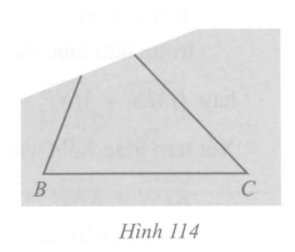 Bạn Hoa vẽ tam giác ABC lên tờ giấy sau  đó cắt một phần tam giác ở phía góc A (Hình 114) (ảnh 1)