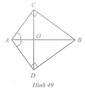 Trong Hình 49 có góc ACB = góc ADB = 90 độ, chứng minh OC = OD  (ảnh 1)