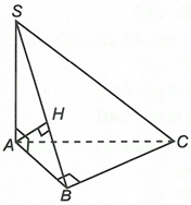 Cho khối chóp S.ABC có SA vuông góc (ABC) tam giác ABC vuông tại B, AC = 2a, BC = a, SB =  2a căn bậc 2(3) (ảnh 1)