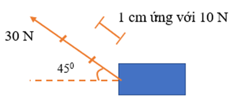 Lực F3 có phương hợp với phương ngang một góc 450, chiều từ phải sang trái (ảnh 1)