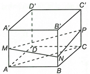 Cho hình lập phương ABCD.A'B'C'D' cạnh a. Các điểm M, N, P lần lượt thuộc các đường thẳng AA', BB' (ảnh 1)
