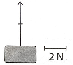 Hãy nêu đặc trưng của lực vẽ trong mặt phẳng đứng dưới đây theo tỉ xích 1 cm ứng với 2 N. (ảnh 2)
