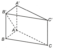 Cho hình lăng trụ đứng ABC.A'B'C' có ABC là tam giác đều cạnh a, cạnh bên AA' = a căn bậc 2(3). Góc (ảnh 1)