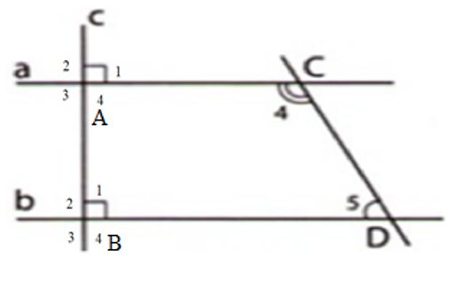 Cho hình vẽ. Biết 4góc C4= 5góc D5. Tính góc D5. (ảnh 1)