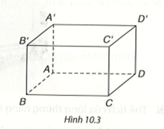 Quan sát Hình 10.3, hình hộp chữ nhật ABCD.A'B'C'D' có các đường chéo là AC', BD' (ảnh 1)