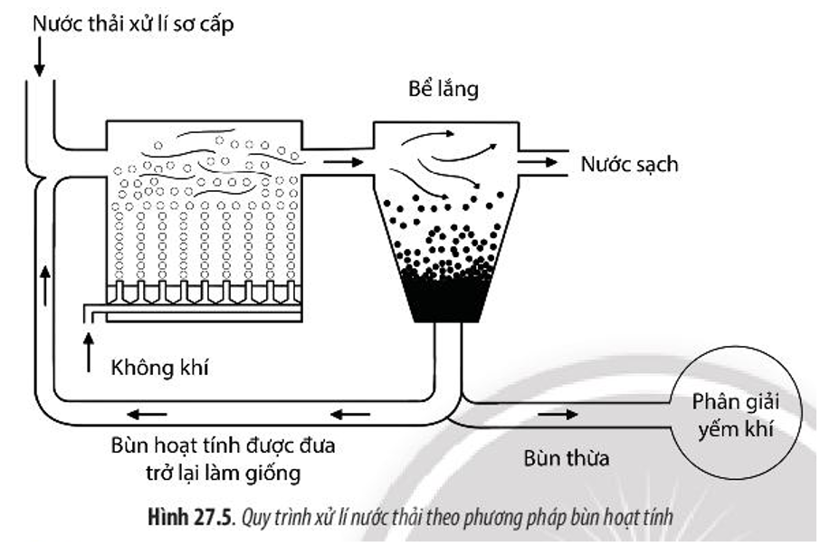 Quan sát Hình 27.5 và 27.6, hãy mô tả quá trình xử lí nước thải bằng phương  (ảnh 1)