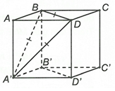 Cho hình lập phương ABCD.A'B'C'D'. Góc giữa hai đường thẳng BA' và B'D' bằng A. 45 độ B. 90 độ (ảnh 1)