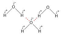 Hợp chất nào sau đây không tạo được liên kết hydrogen liên phân tử A. H2O. B. HF. (ảnh 1)