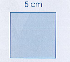 Tính diện tích hình vuông sau: 5 cm (ảnh 1)