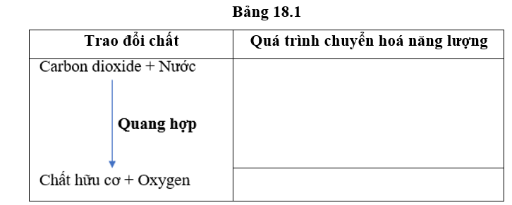 Bảng 18.1. Mối quan hệ giữa trao đổi chất và chuyển hóa năng lượng trong quá trình (ảnh 1)