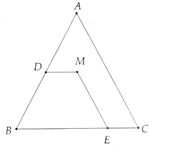 Cho tam giác ABC cân tại A và điểm M tùy ý nằm trong tam giác. Kẻ tia Mx song song vói BC cắt AB ở D, (ảnh 1)