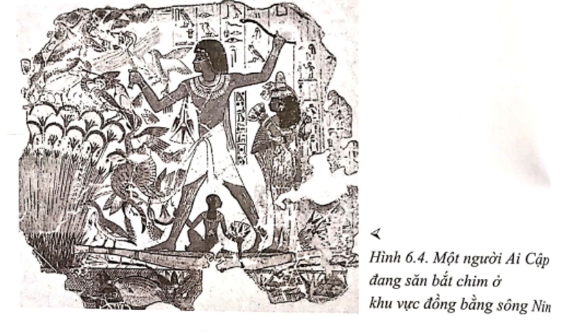 Quan sát hình 6.4 và cho biết: a) Những “tặng phẩm” mà sông Nin đem đến cho cư dân Ai Cập cổ đại là gì. (ảnh 1)
