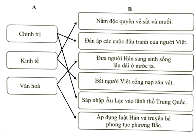 Hãy nối ô ở cột A với ô ở cột B để thấy được các chính sách cai trị của các triều đại (ảnh 2)