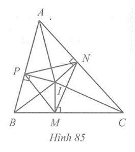 Cho tam giác ABC có I là giao điểm của ba đường phân giác. M, N, P lần lượt là hình chiếu của I trên các (ảnh 1)